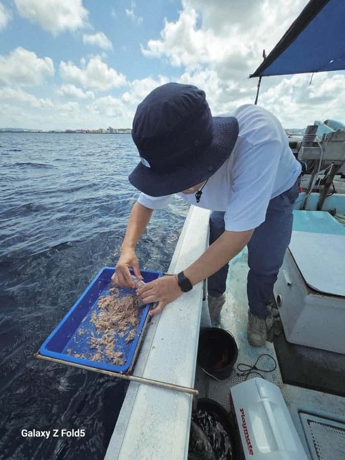 Okinawa: Half-Day Fishing Tour with Local Fisherman - Key Points That Matter