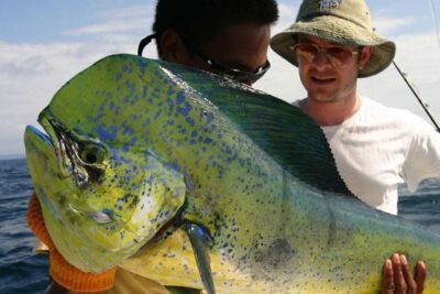 Orlando Deep Sea Fishing Charter - Your day at sea: what the different trip lengths feel like