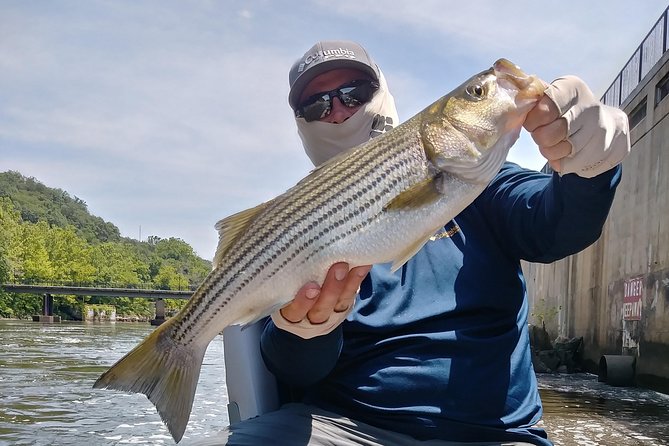 Osprey Fishing Charters: Potomac River Fishing - Price, Group Size, and Real-World Value at $425