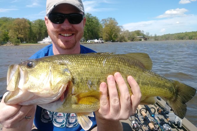 Osprey Fishing Charters: Potomac River Fishing - Potomac vs Occoquan River: What You’ll Fish For
