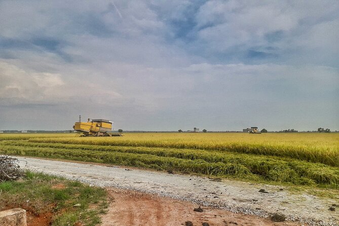Paddy Field, Fishing Village Sekinchan DAY Tour Lunch (SIC-Shared/Join In Tour) - Bagan fishing village: jetty views and daily work in action
