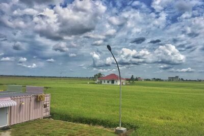 Paddy Field, Fishing Village Sekinchan DAY Tour Lunch (SIC-Shared/Join In Tour) - Paddy fields in the right season: green vs gold matters here