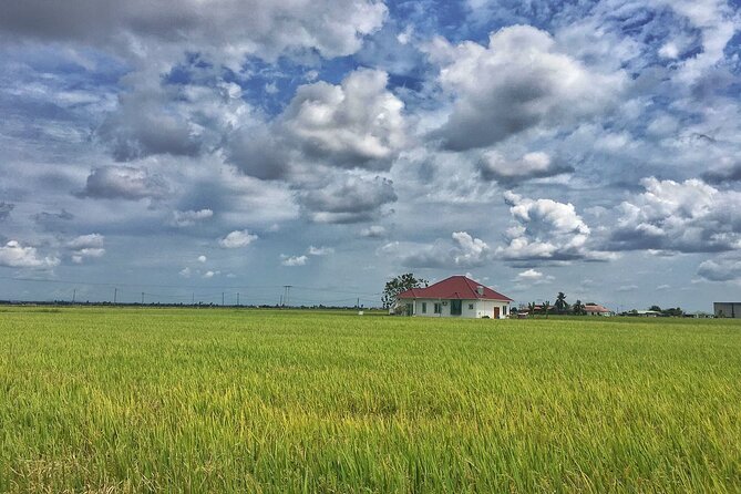 Paddy Field, Fishing Village Sekinchan DAY Tour Lunch (SIC-Shared/Join In Tour) - Lunch in Sekinchan: included seafood and how to avoid vehicle-food mess