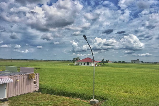 Paddy Field, Fishing Village Sekinchan DAY Tour Lunch (SIC-Shared/Join In Tour) - Paddy fields in the right season: green vs gold matters here