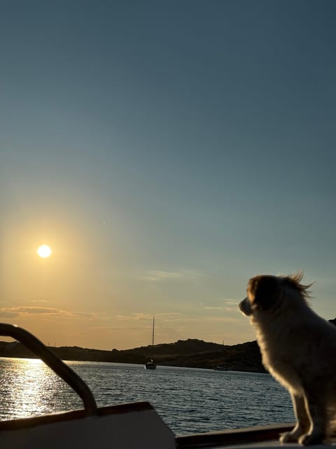 Paros: Highlights Tour with Fishing & Tasting in Naoussa - Meet the Crew: Thanasis Sarris, Fishermen Skills, and Food Authority