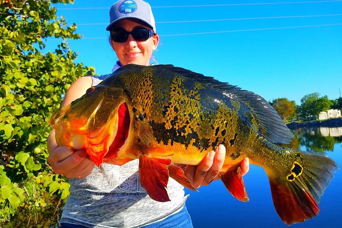 Peacock Bass Fishing Trip in Boynton Beach - Peacock Bass Near Boynton Beach: What You’re Really Buying