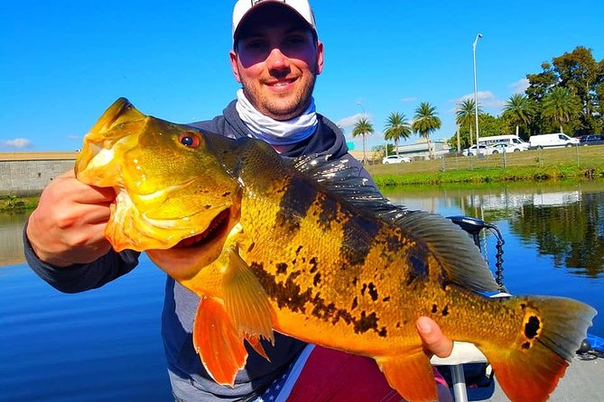 Peacock Bass Fishing Trip in Boynton Beach - John Prince Memorial Park Launch: Where the Day Starts Easy