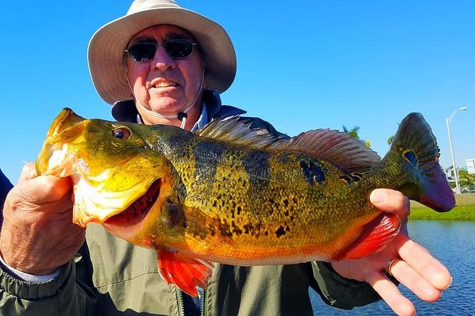 Peacock Bass Fishing Trip in Boynton Beach - Gear and What’s Included: The Stress-Free Part That Matters