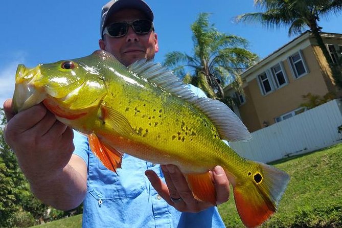 Peacock Bass Fishing Trip near West Palm Beach - The 4-Hour Flow on the Water: What Your Time Looks Like