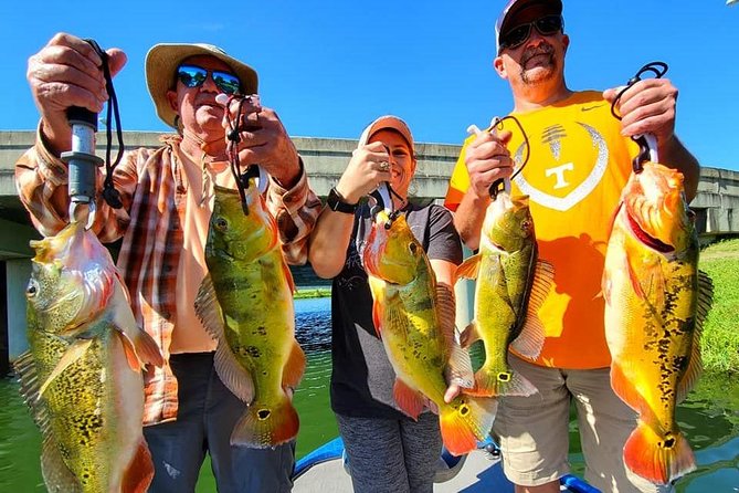 Peacock Bass Fishing Trips near Boca Raton - Safety and Comfort: Calm, Guided, and Built for Real People