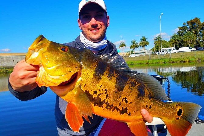 Peacock Bass Fishing Trips Near Miami Florida - Key points to know before you go
