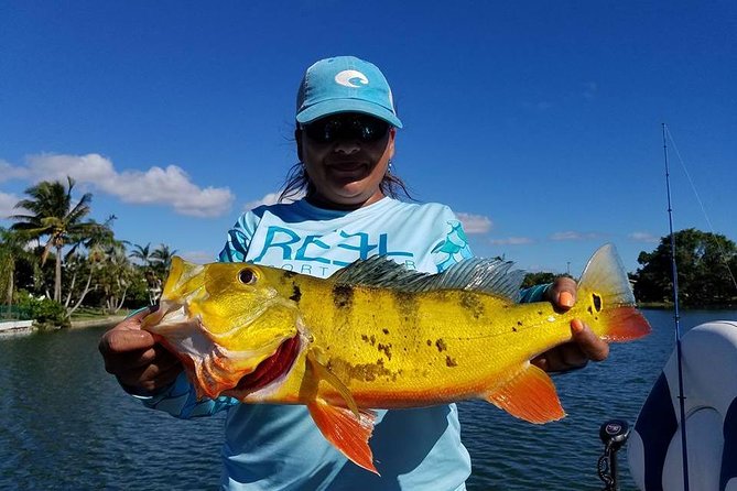 Peacock Bass Fishing Trips Near Miami Florida - The fish you’re actually here for (plus a few great surprises)