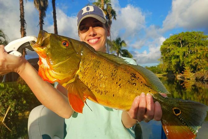 Peacock Bass Fishing Trips Near Miami Florida - The captain factor: instruction that fits your level