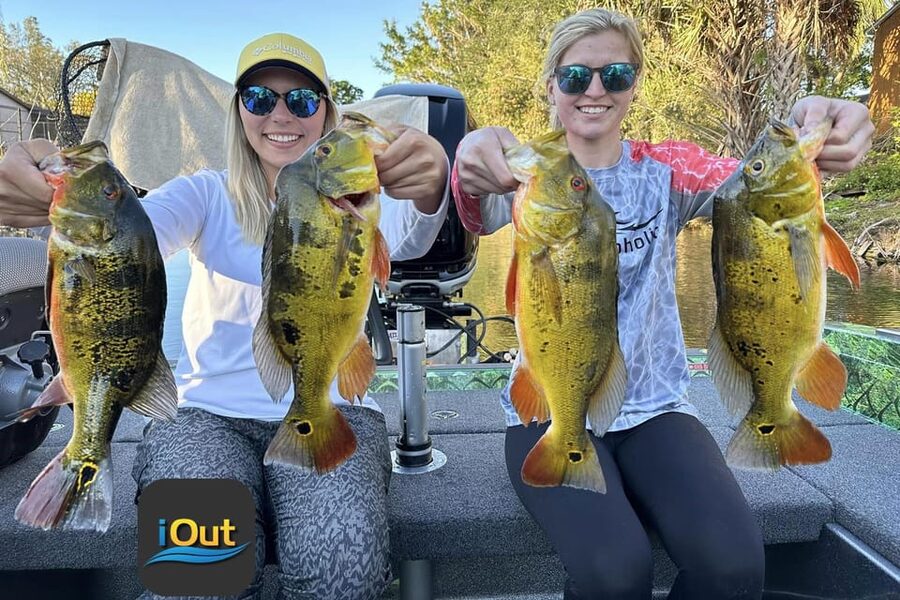 Peacock Bass Fishing Trips Near Miami Florida - What’s Included vs Not Included (So You Don’t Get Stuck)