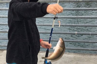 Pier Fishing Tour - San Diego - What the Included Gear Actually Changes for You