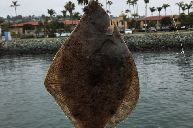 Pier Fishing Tour - San Diego - Meeting Your Captain: Easy Start, Real Learning Expectation