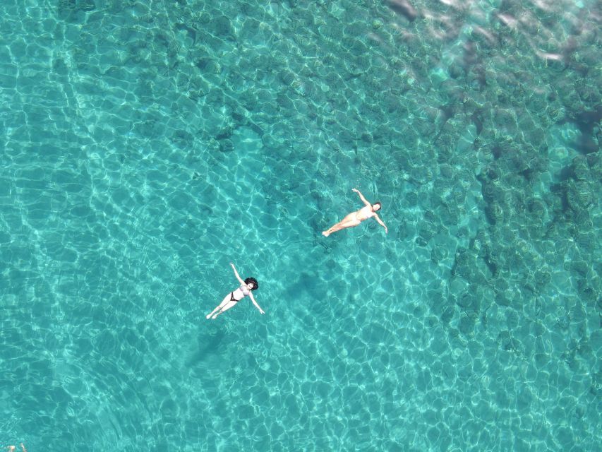 Pizzo: Fishing, Snorkeling, Dolphin Watching - Who This Trip Suits Best (and Who Should Rethink It)