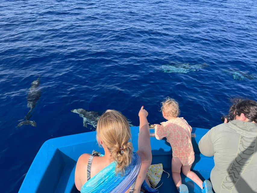Pizzo: Fishing, Snorkeling, Dolphin Watching - Why Pizzo’s Coast Fits a 3-Hour Sea Day