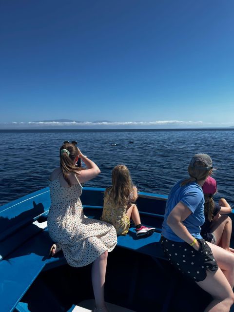 Pizzo: Fishing, Snorkeling, Dolphin Watching - Tyrrhenian Sea Cruise: The Moving Part That Sets the Tone