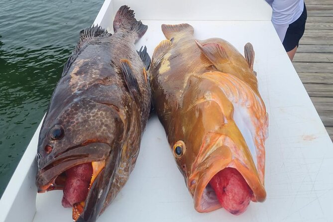 Private 1/2 Day Afternoon Bottom Fishing Charter on "Shady Grady" - Why the Shady Grady half-day fishing fits Turks and Caicos so well