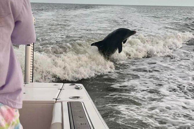 Private 4 Hour Shelling , Fishing and Eco Tour Marco Island FL - Wildlife Cruising Around Marco Island: Dolphins, Turtles, and More