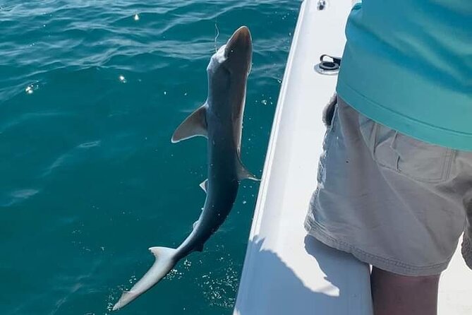 Private 4 hr Fishing Tour with Master Captain Bill Phillips - Sarasota Bay inshore fishing: what 4 hours really delivers