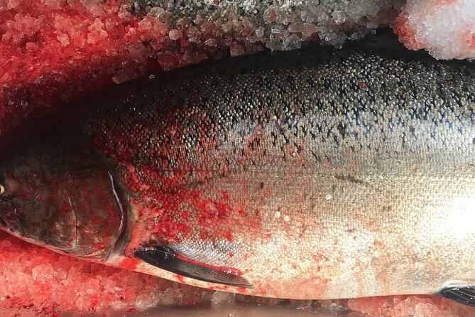 Private Alaska Salmon Fishing—Up to 6 Guests, Priced by Group - Key things I’d plan around