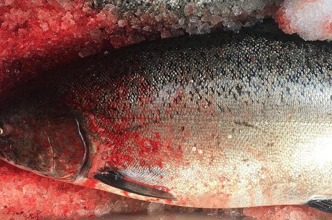 Private Alaska Salmon Fishing—Up to 6 Guests, Priced by Group - Autism-friendly fishing with Captain Jack (IBCCES + Autism Double-Checked)