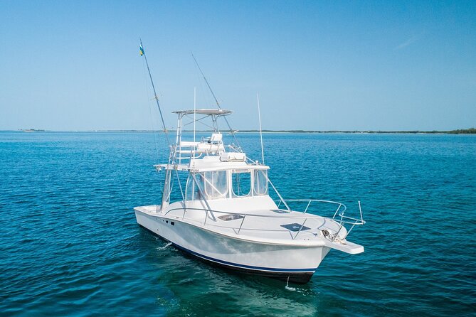 Private Bahamas Half-Day Fishing Tour from New Providence - Snorkeling equipment included: when you want color and reef time