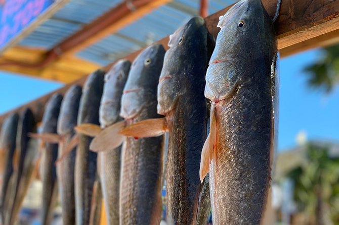 Private Bay Fishing South Padre Island - Quick Key Points Before You Book