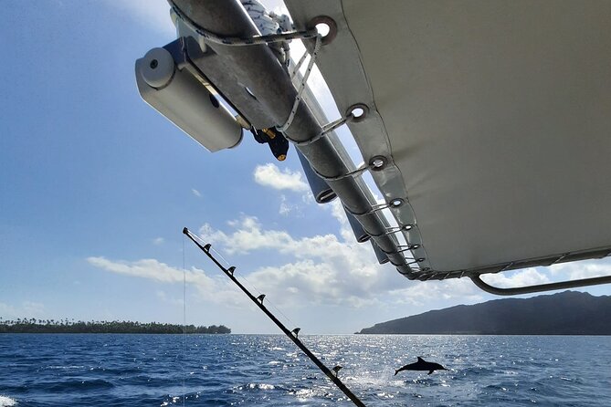Private Big Game Fishing Tour in Raiatea - Key highlights before you cast a line