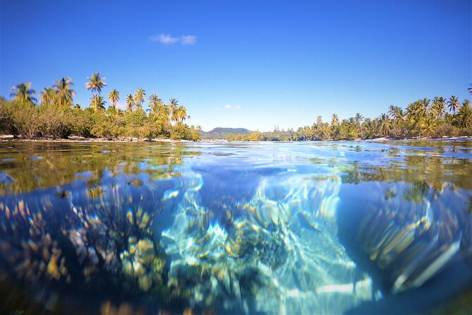 Private Big Game Fishing Tour in Raiatea - The fish you’re targeting—and what that means for your day