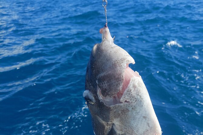 Private Big Game Fishing Tour in Raiatea - Price and value: what $1,275.37 per group covers