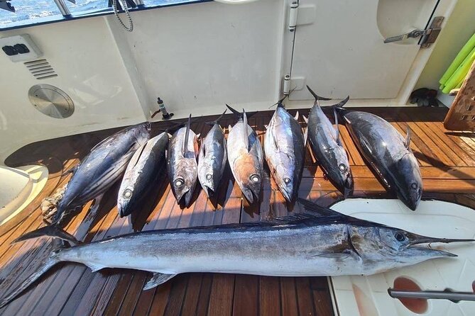 Private Boat and Fishing Tours in Greek Islands - Who this private cruise is best for