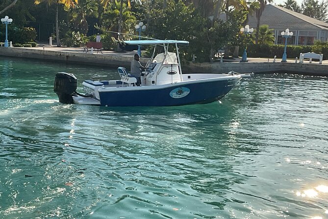 Private Boat Tours & Fishing Charters in Nassau, Bahamas - Stop 2: Reef Time for Fish Viewing (Plus a Turtle Chance)