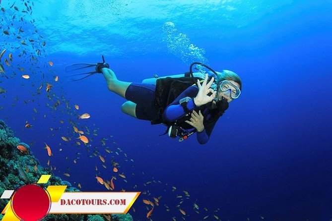 Private Cham Island Snorkeling Tour, Nice Beach, Fishing villages - Price and value: what your $119 covers (and what it doesn’t)