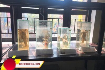 Private Cham Island Snorkeling Tour, Nice Beach, Fishing villages - Marble Mountain stone workshops: a culture stop that isn’t just a photo break