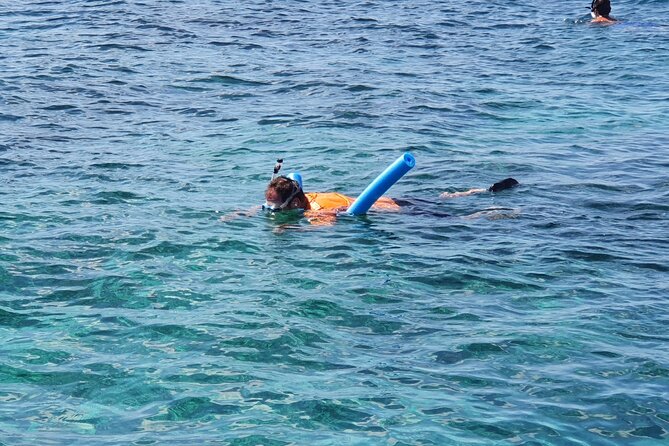 Private Charter for snorkeling, swimming pigs, turtles & fishing.... - Swimming pigs: what’s included, what costs extra