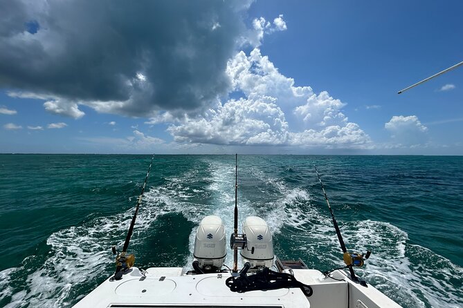 Private Charter Reef fishing, Stingray City, Snorkel, Mangroves - Bioluminescent Bay at night: glowing water without the guesswork