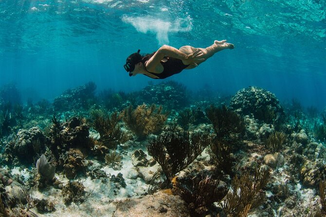 Private Charter Reef fishing, Stingray City, Snorkel, Mangroves - Price and value: $900 for up to 7, and where your money goes