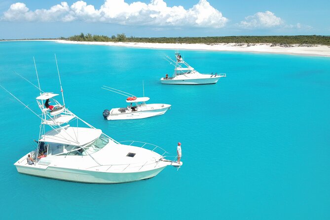 Private Deep Sea Fishing 1/2 Day morning on"Angler Management" - Angler Management and Your Group Size (Up to 10)