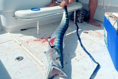 Private Deep Sea Fishing Experience in Grand Cayman - Captain Dylan and the mate team: what their experience really means