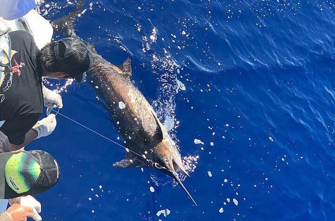 Private Deep Sea Full-Day Fishing Charter in Hawaiian Waters - What’s included: rods, tackle, bait, and cold storage that actually helps