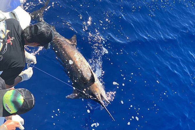 Private Deep Sea Full-Day Fishing Charter in Hawaiian Waters - What to bring: lunch rules, alcohol, and the banana detail you can’t ignore