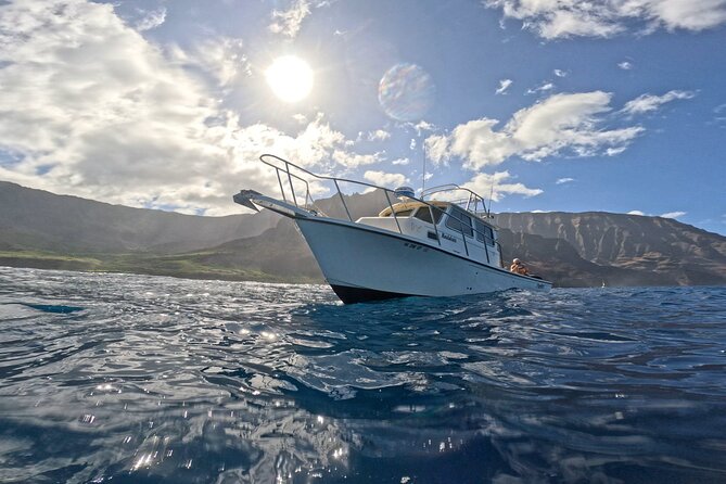 Private Deep Water Fishing in Kauai - Wildlife While You Fish: Whales Seen on the Route