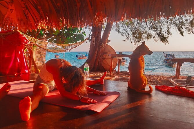 Private Experience with Fishing, Barbeque, Sashimi and Snorkeling - GoPro Included: How to Get Better Footage