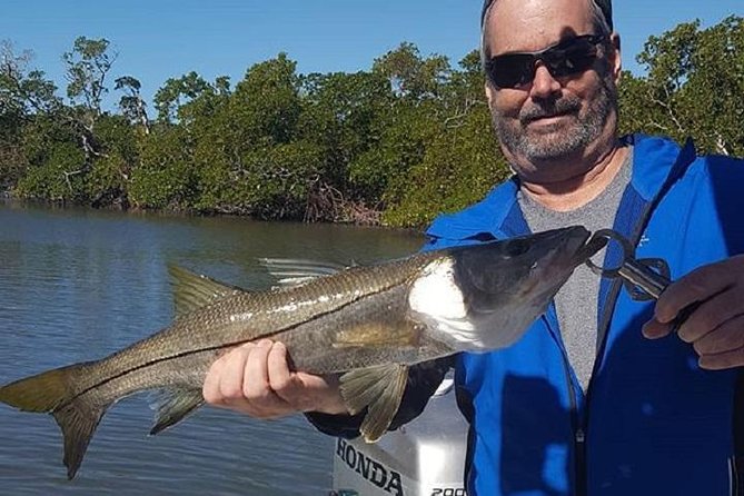 Private Fishing Boat Charters in Naples Bay and the Gulf - Dolphins and the feel of the experience: relaxed, family-friendly, and local