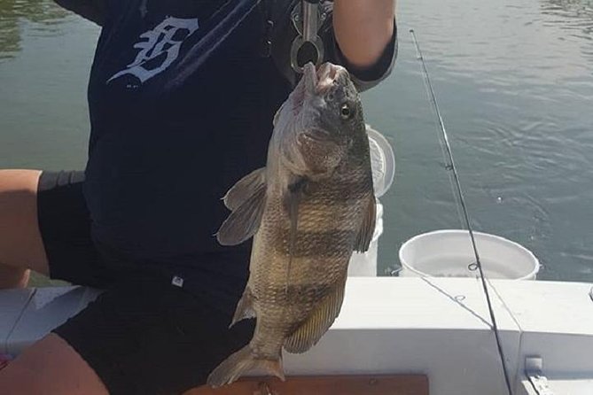 Private Fishing Boat Charters in Naples Bay and the Gulf - The boat details that affect comfort (more than you think)