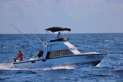 Private fishing charter Bertram 31ft 6 pax max if you don't fish you don't pay - Your simple, no-frills “day on the water” flow