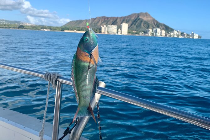 Private Fishing Charter for Family and Friends in Honolulu - Your 2-hour plan: safety first, then reef fishing where the action happens